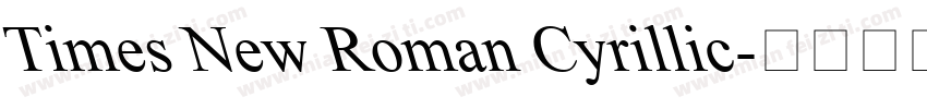 Times New Roman Cyrillic字体转换